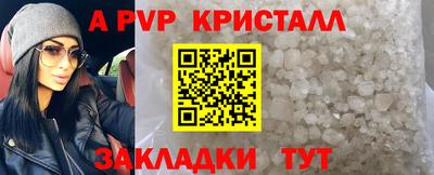 стафф Лениногорск