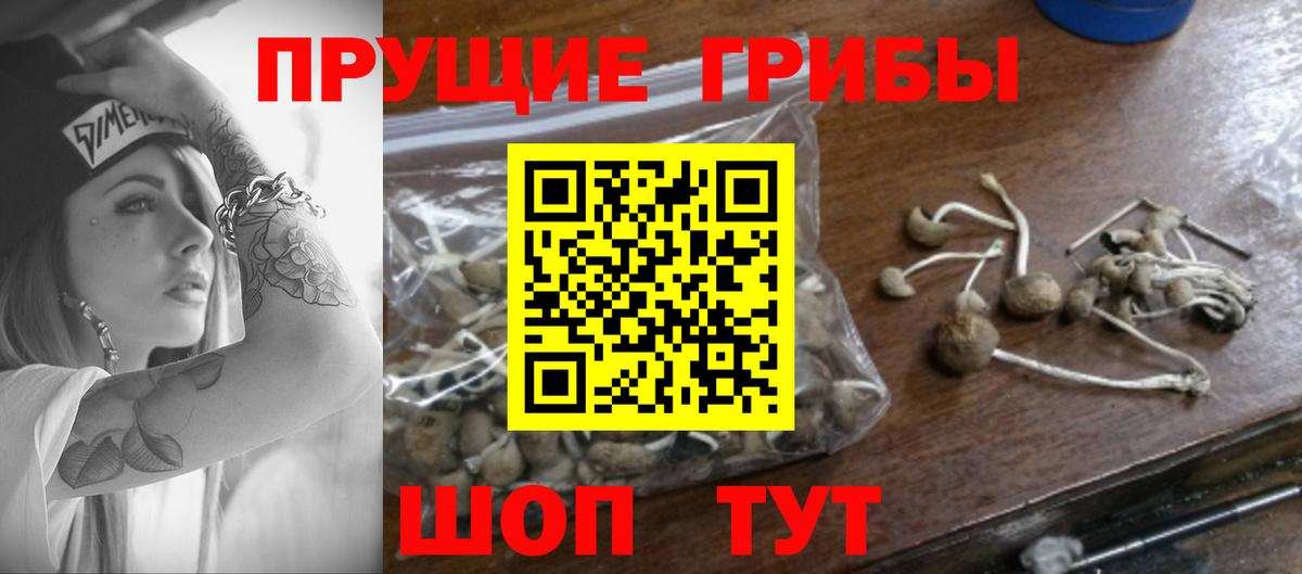Саров  Псилоцибиновые грибы Magic Shrooms  Вход с VPN  Галлюциногенные грибы Psilocybe 